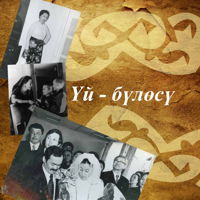 Үй - бүлөсү